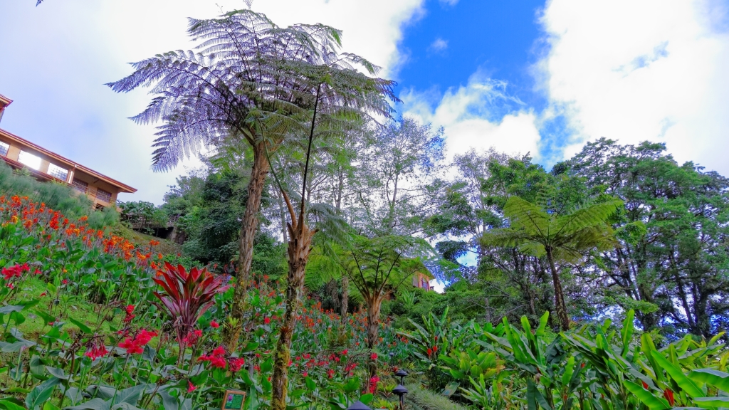 01 - Volcan Poas (33).jpg